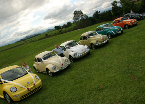 Cars in colour at the  reception