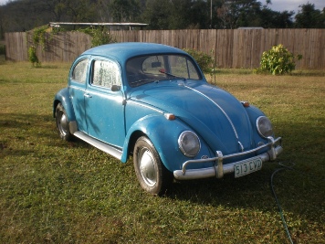 blue bug 65 001.jpg