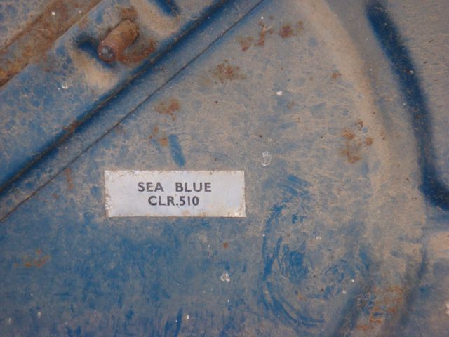 Manfred sea blue.jpg