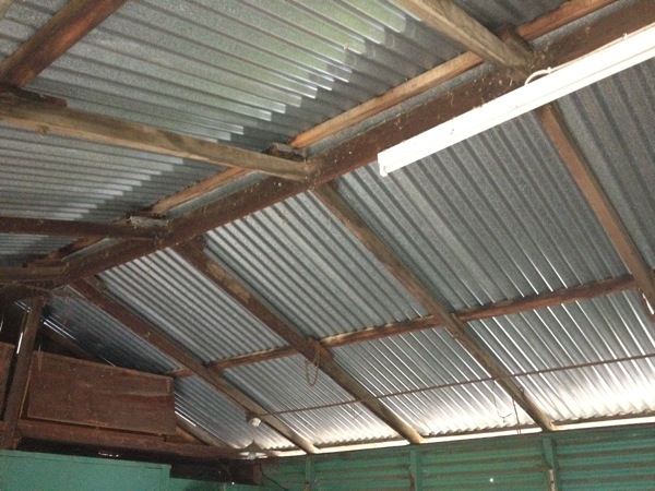 The garage roof is in great condition.<br />The workshop is not so lucky